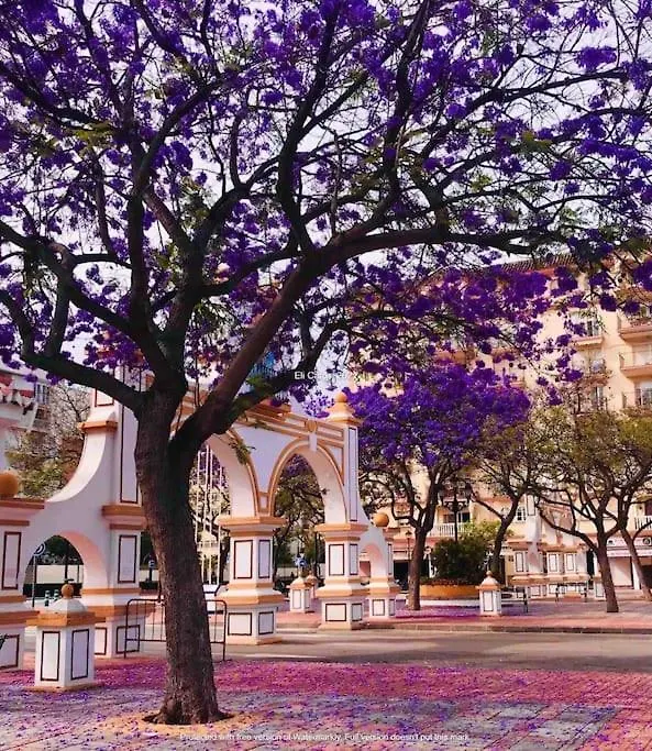 Higueronrentals Bahia Málaga Spanien